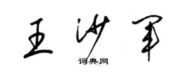 梁锦英王沙军草书个性签名怎么写