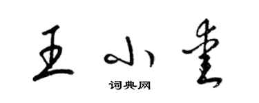 梁锦英王小爱草书个性签名怎么写
