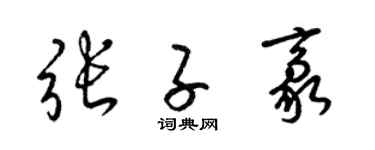 梁锦英张子豪草书个性签名怎么写