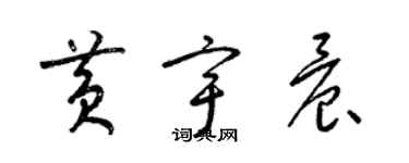 梁锦英黄宇晨草书个性签名怎么写