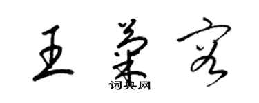 梁锦英王菊容草书个性签名怎么写