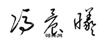 梁锦英冯晨曦草书个性签名怎么写