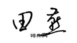 梁锦英田燕草书个性签名怎么写