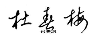 梁锦英杜春梅草书个性签名怎么写