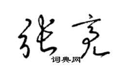 梁锦英张亮草书个性签名怎么写