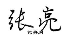 曾庆福张亮行书个性签名怎么写