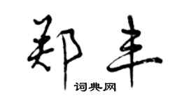 曾庆福郑丰行书个性签名怎么写