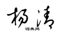 梁锦英杨清草书个性签名怎么写