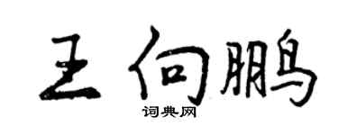 曾庆福王向鹏行书个性签名怎么写