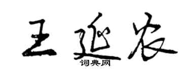 曾庆福王延农行书个性签名怎么写