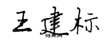 曾庆福王建标行书个性签名怎么写