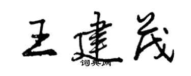 曾庆福王建茂行书个性签名怎么写