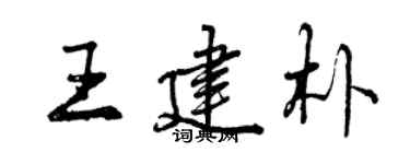 曾庆福王建朴行书个性签名怎么写