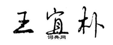曾庆福王宜朴行书个性签名怎么写