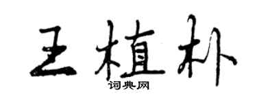 曾庆福王植朴行书个性签名怎么写