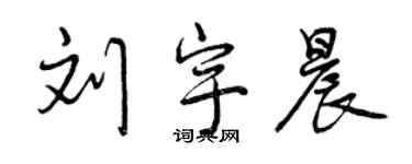 曾庆福刘宇晨行书个性签名怎么写