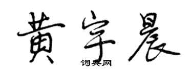曾庆福黄宇晨行书个性签名怎么写