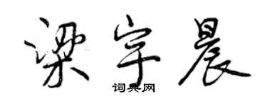 曾庆福梁宇晨行书个性签名怎么写