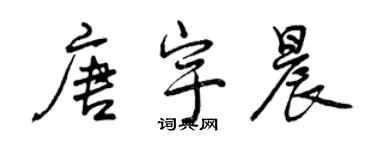 曾庆福唐宇晨行书个性签名怎么写
