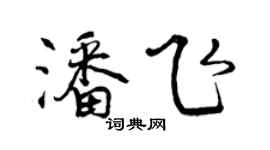 曾庆福潘飞行书个性签名怎么写