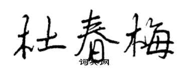 曾庆福杜春梅行书个性签名怎么写