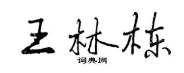 曾庆福王林栋行书个性签名怎么写