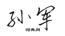 骆恒光孙军行书个性签名怎么写