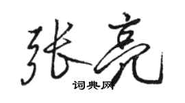 骆恒光张亮行书个性签名怎么写
