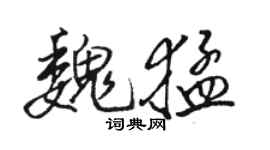 骆恒光魏猛行书个性签名怎么写