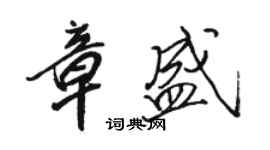 骆恒光章盛行书个性签名怎么写