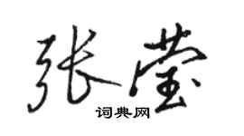 骆恒光张莹行书个性签名怎么写