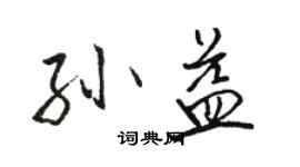 骆恒光孙益行书个性签名怎么写