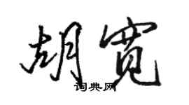 骆恒光胡宽行书个性签名怎么写