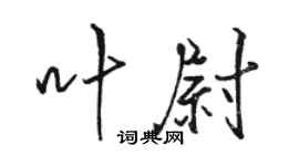 骆恒光叶尉行书个性签名怎么写