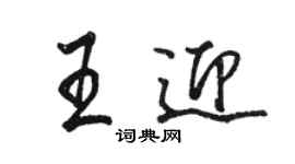 骆恒光王迎行书个性签名怎么写