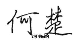 骆恒光何楚行书个性签名怎么写