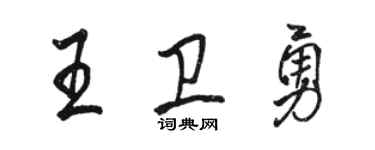 骆恒光王卫勇行书个性签名怎么写