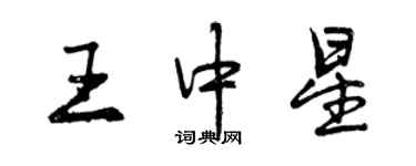 曾庆福王中星行书个性签名怎么写