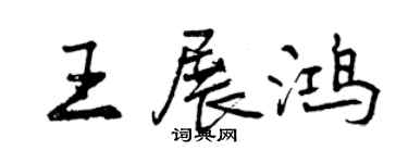 曾庆福王展鸿行书个性签名怎么写