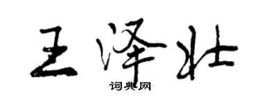 曾庆福王泽壮行书个性签名怎么写