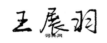曾庆福王展羽行书个性签名怎么写