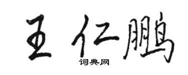 骆恒光王仁鹏行书个性签名怎么写
