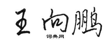 骆恒光王向鹏行书个性签名怎么写