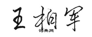 骆恒光王柏军行书个性签名怎么写