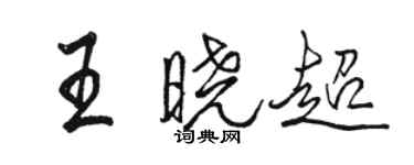 骆恒光王晓超行书个性签名怎么写