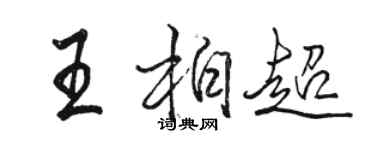 骆恒光王柏超行书个性签名怎么写