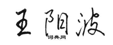 骆恒光王阳波行书个性签名怎么写