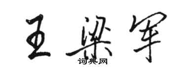 骆恒光王梁军行书个性签名怎么写