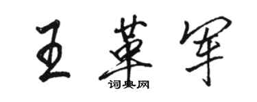 骆恒光王革军行书个性签名怎么写