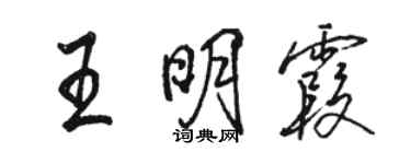 骆恒光王明霞行书个性签名怎么写